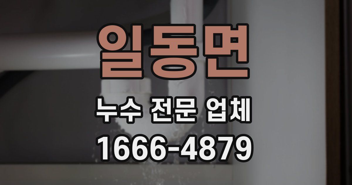 일동면 누수 전문 업체