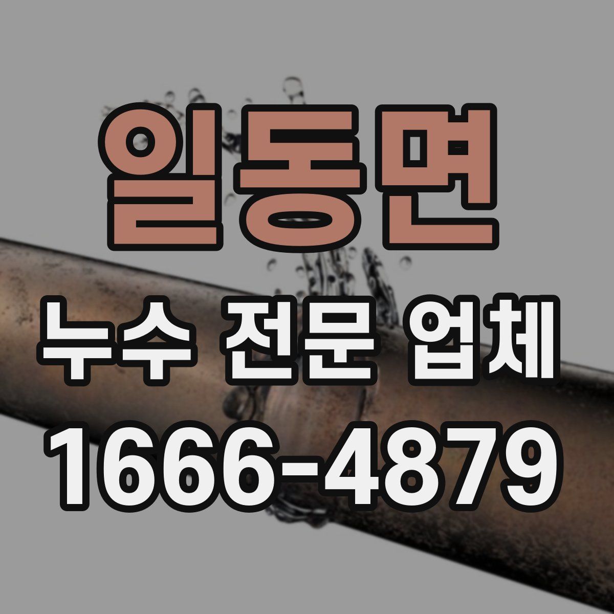 일동면 누수 전문 업체