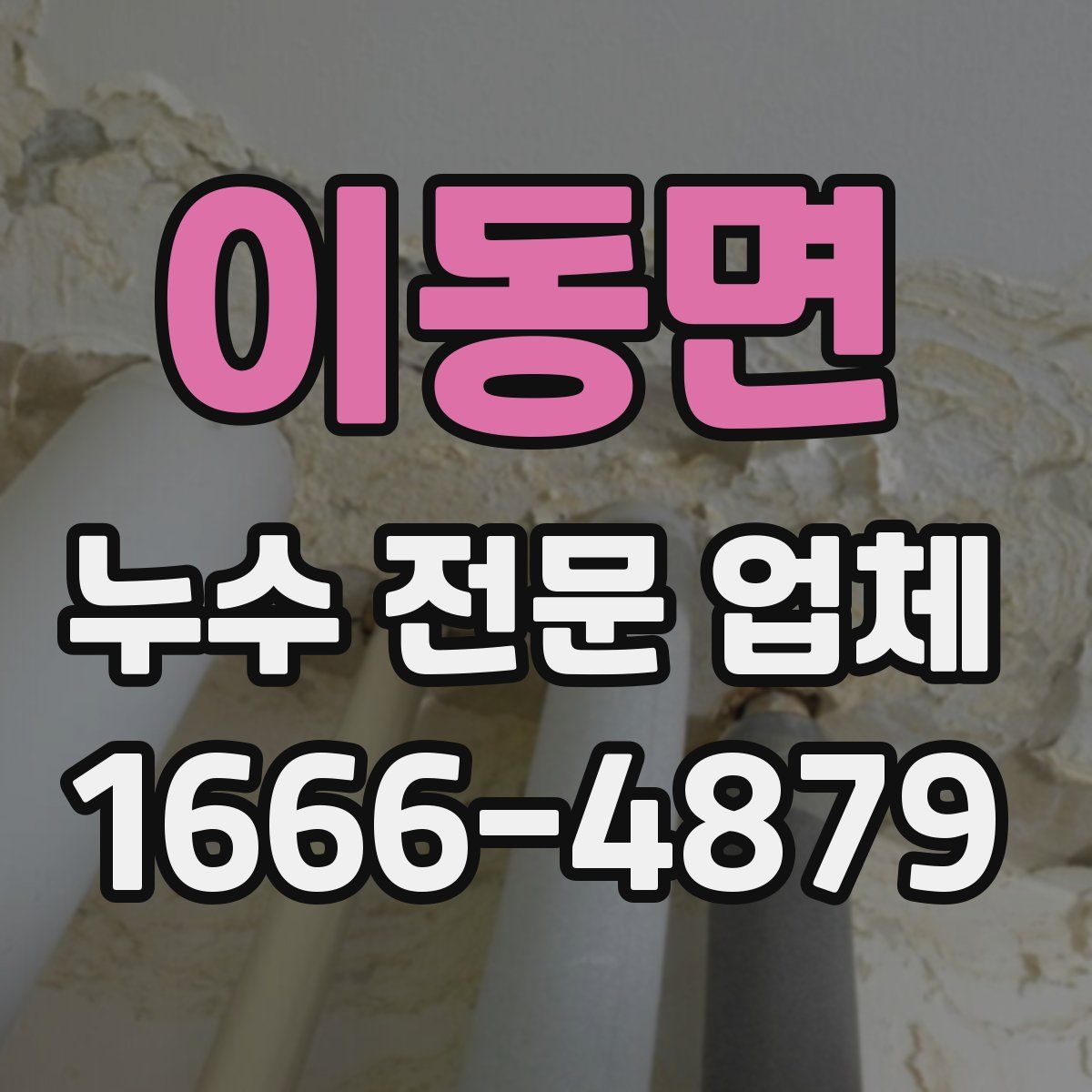 이동면 누수 전문 업체