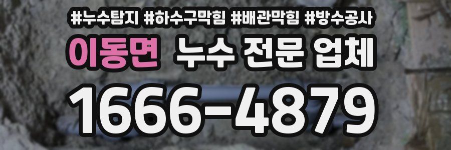 이동면 누수 전문 업체