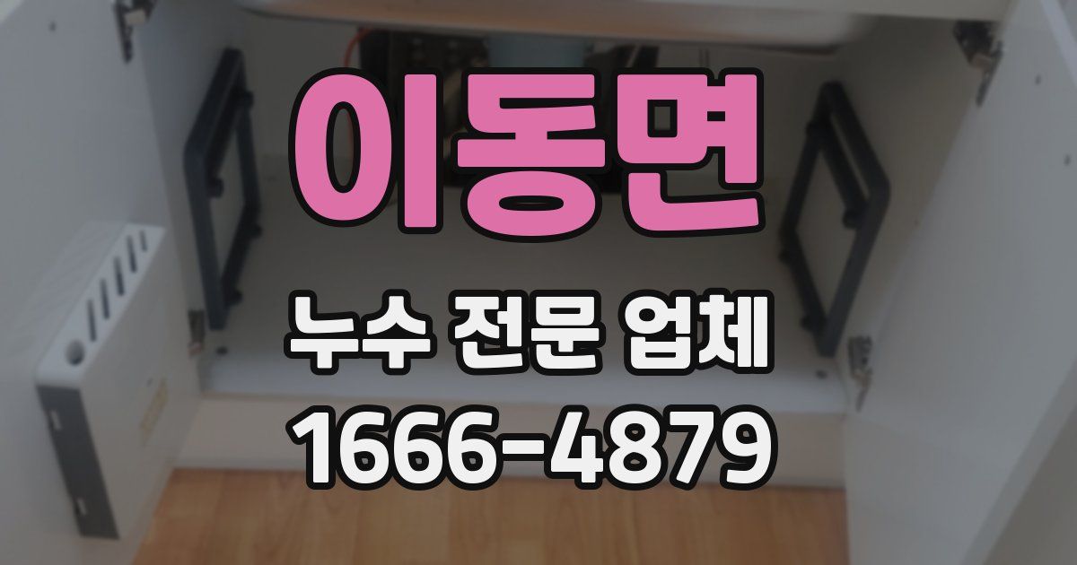 이동면 누수 전문 업체
