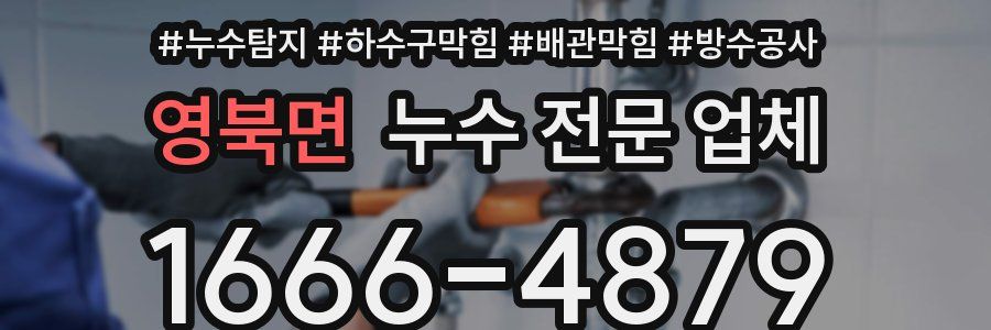영북면 누수 전문 업체