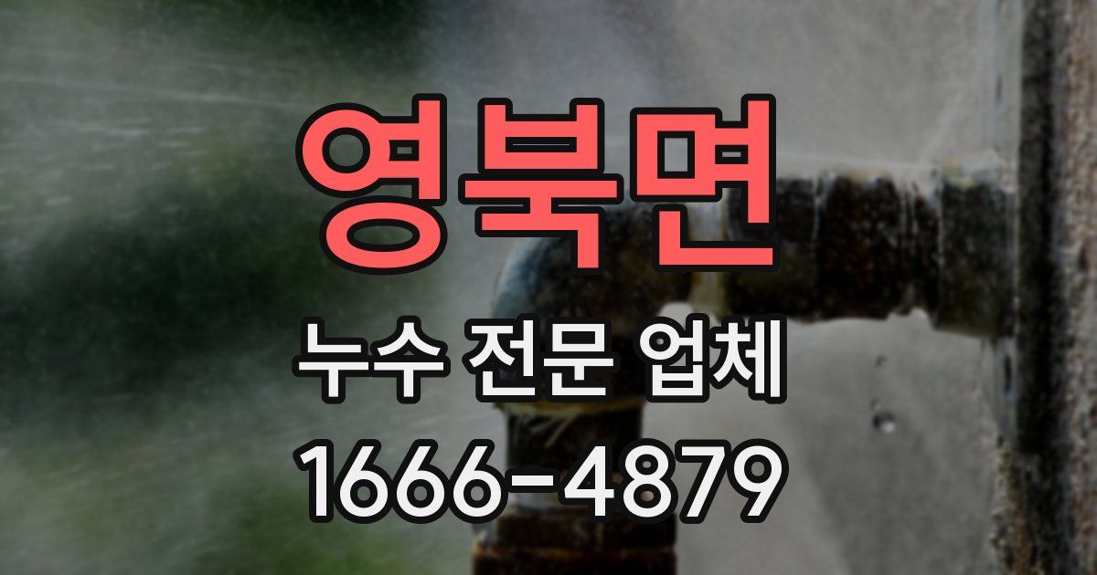 영북면 누수 전문 업체