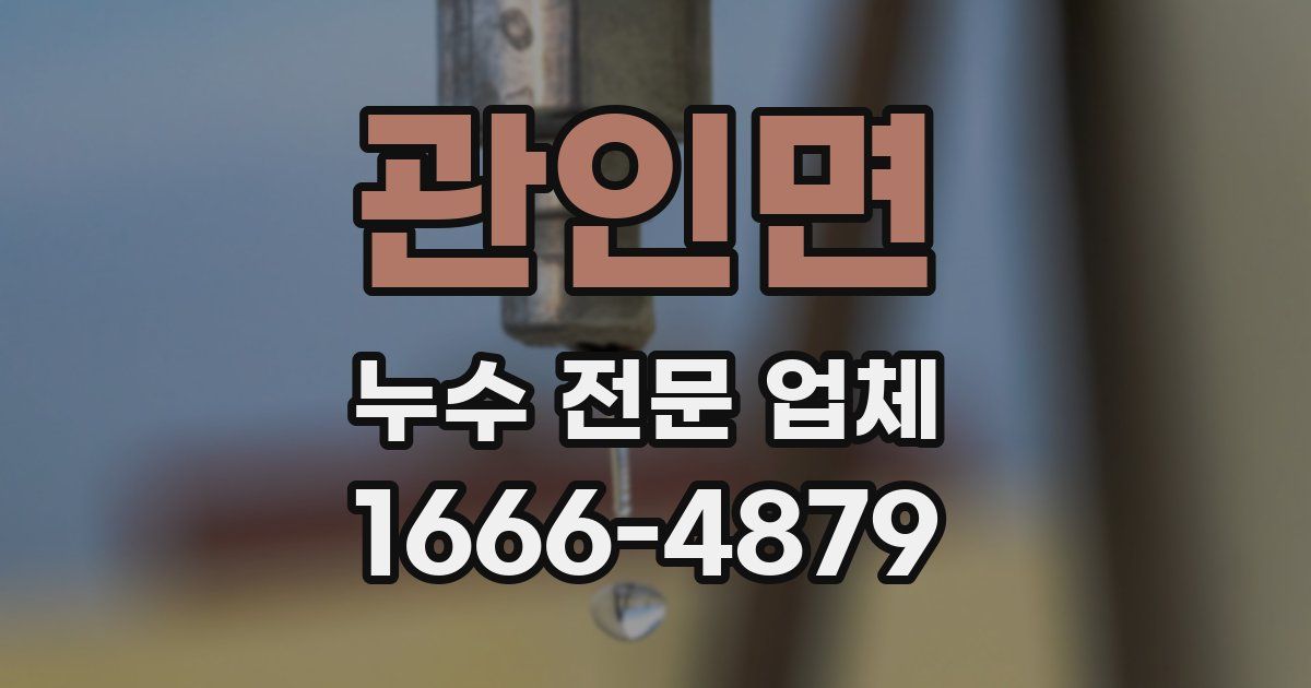 관인면 누수 전문 업체