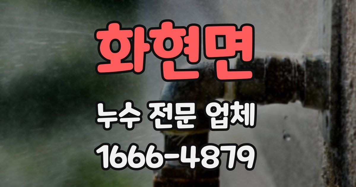 화현면 누수 전문 업체