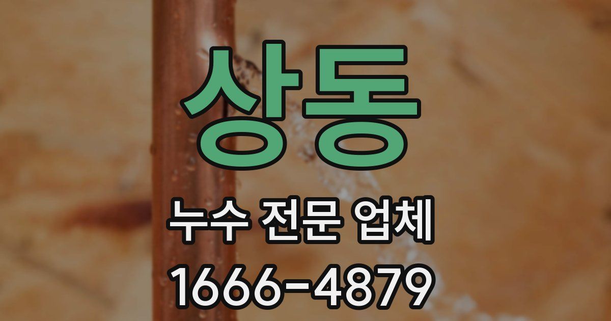 상동 누수 전문 업체