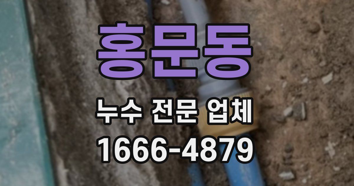 홍문동 누수 전문 업체