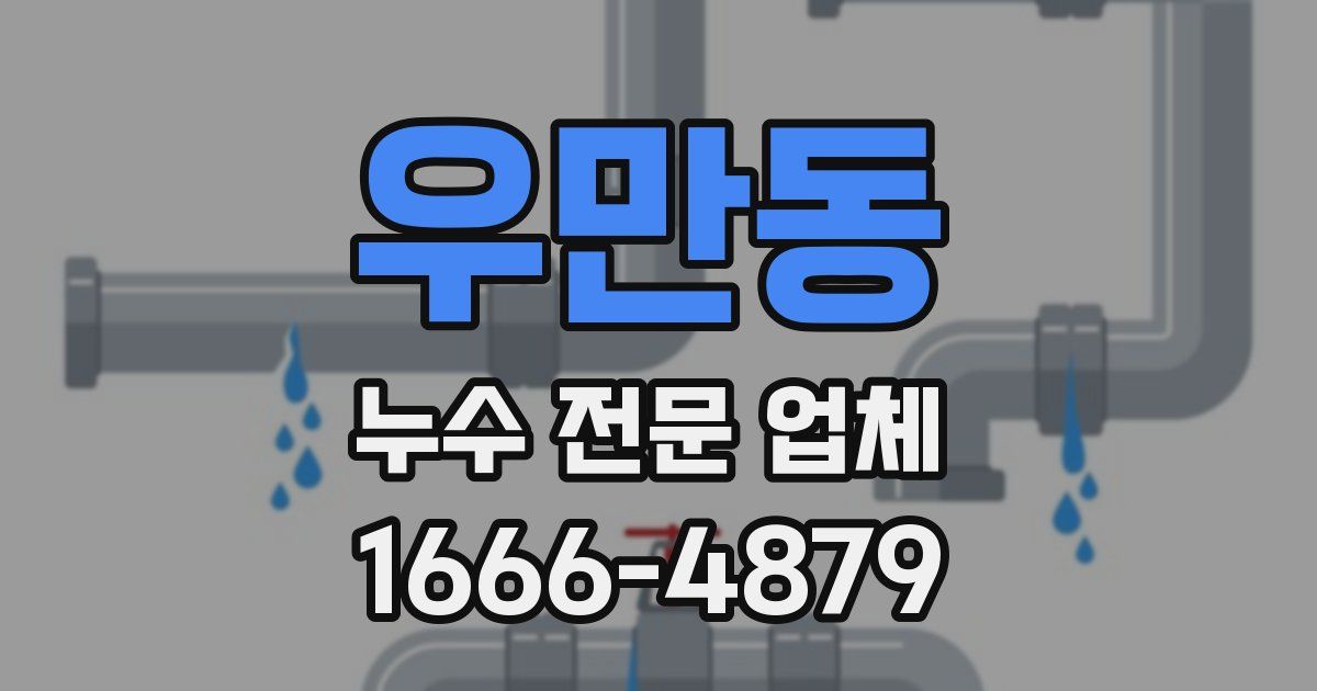 우만동 누수 전문 업체