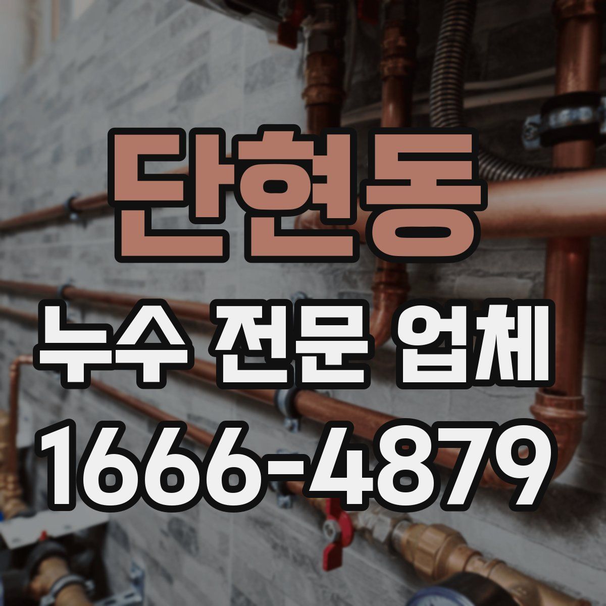 단현동 누수 전문 업체