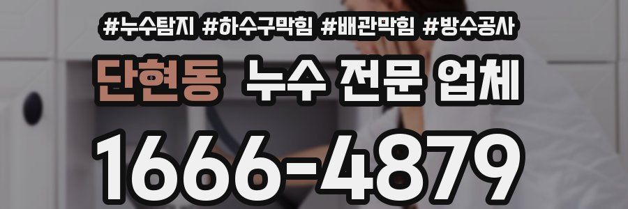 단현동 누수 전문 업체