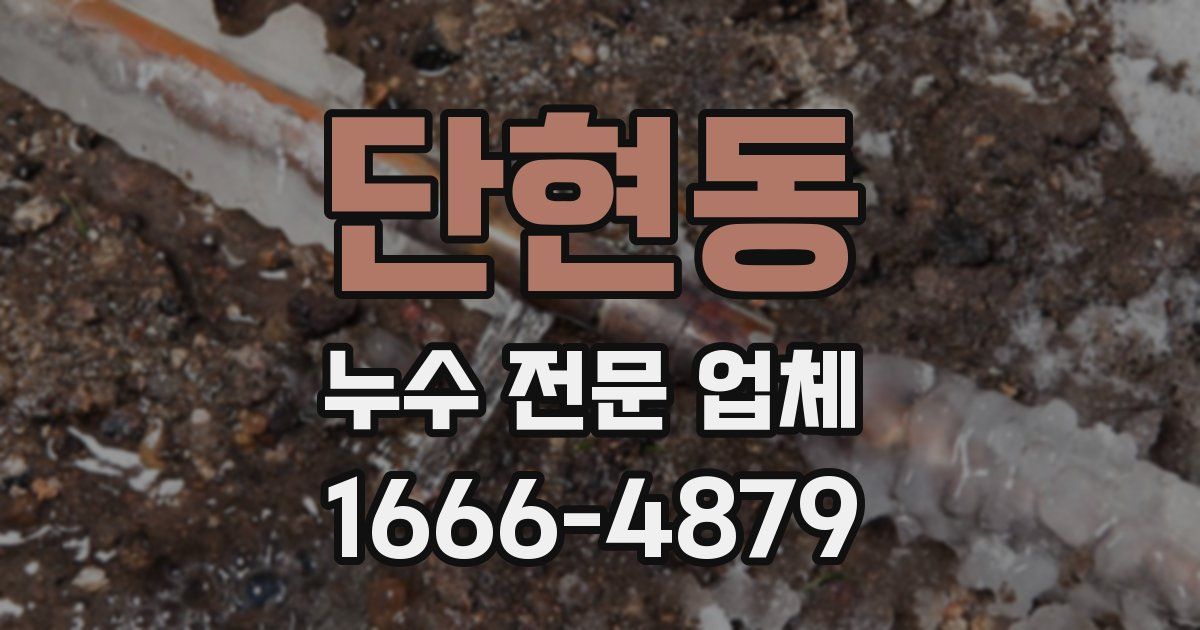 단현동 누수 전문 업체