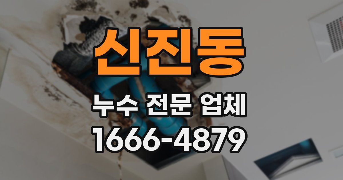 신진동 누수 전문 업체