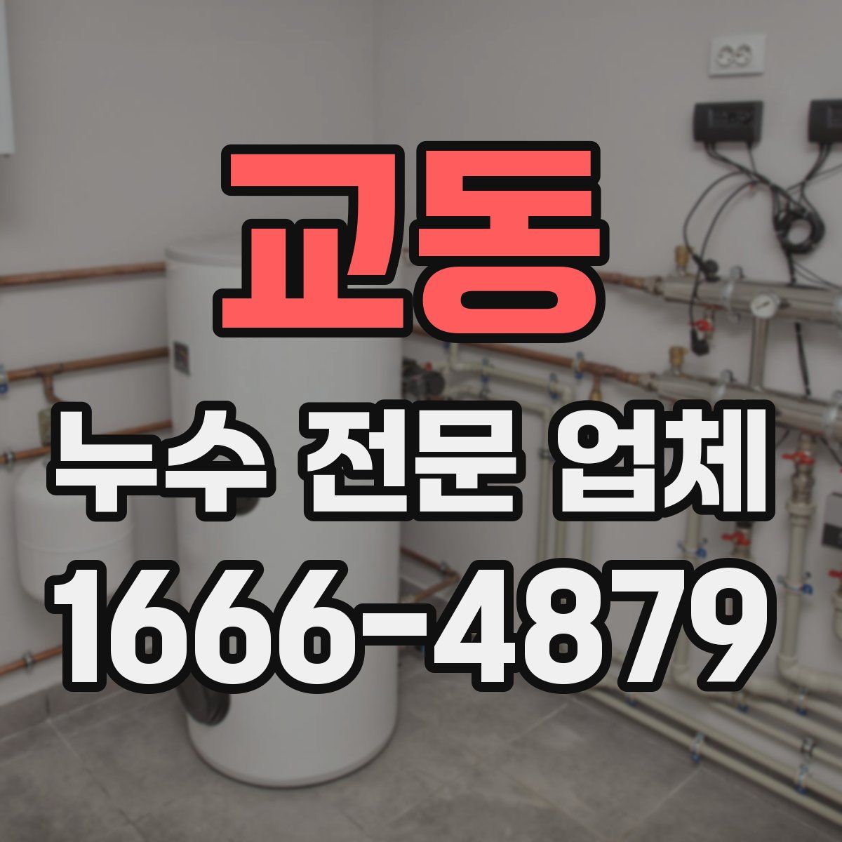 교동 누수 전문 업체