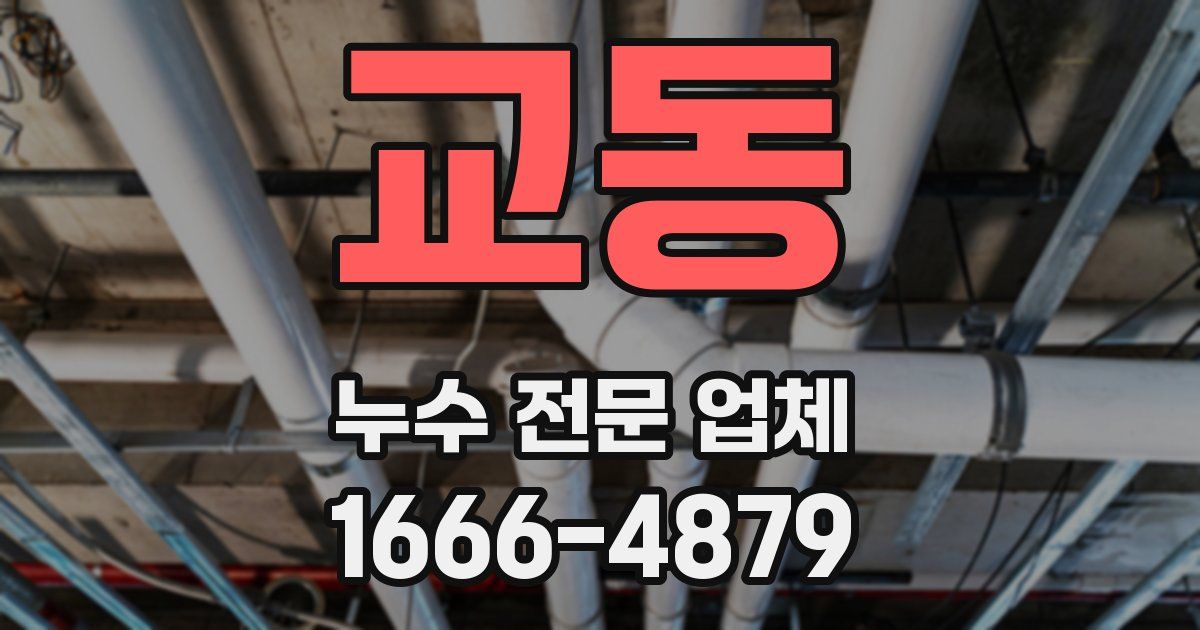 교동 누수 전문 업체