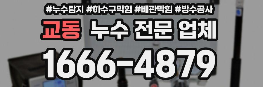 교동 누수 전문 업체