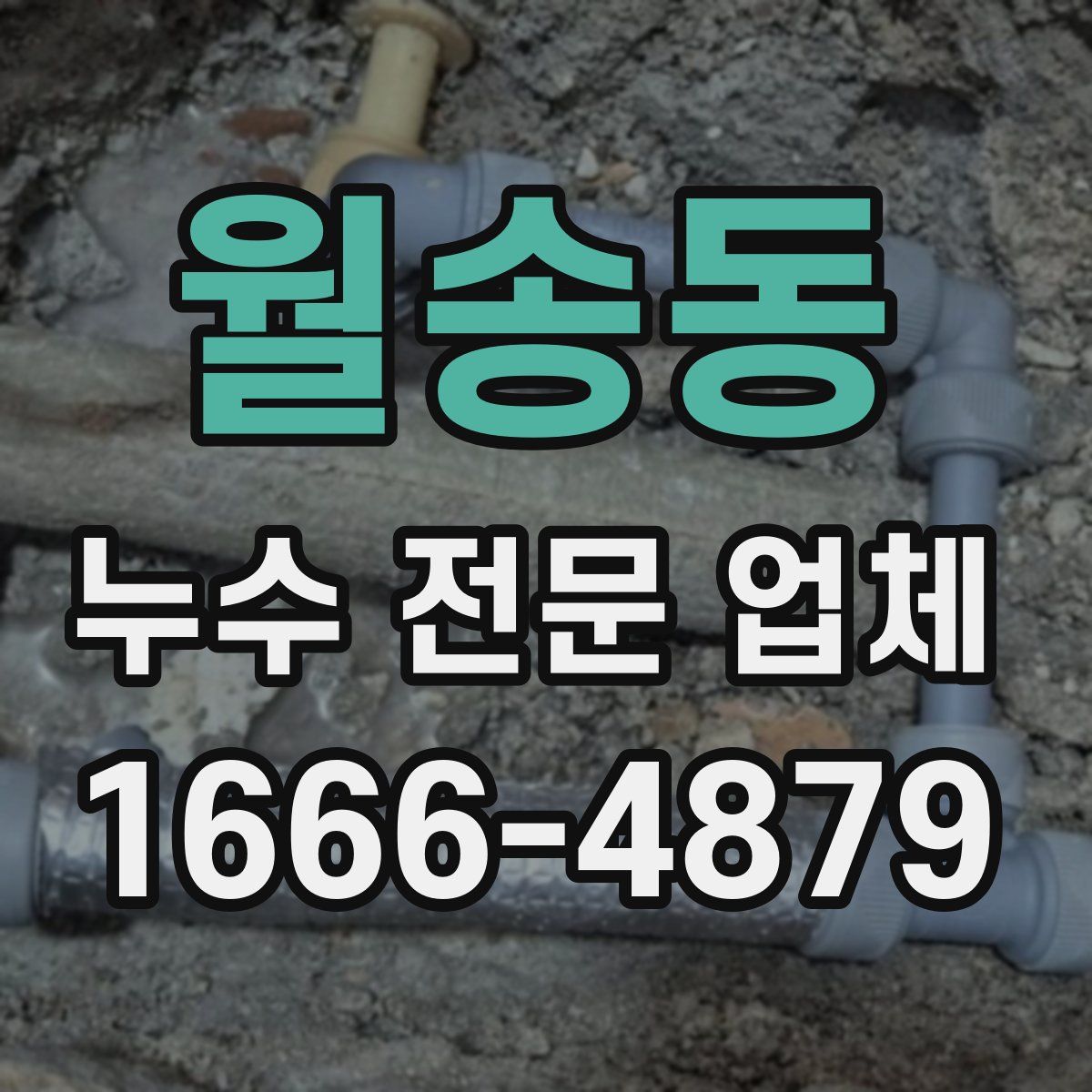 월송동 누수 전문 업체