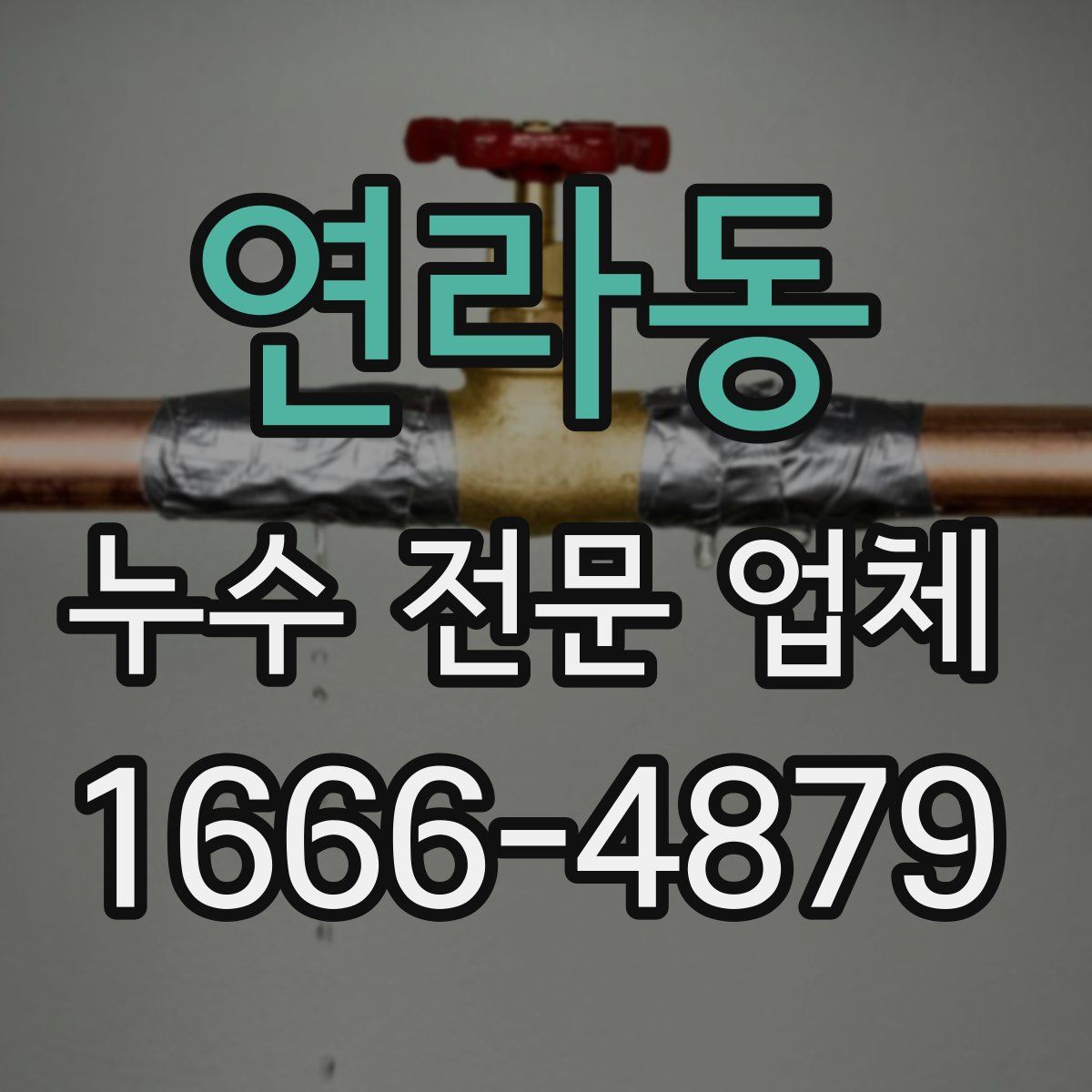 연라동 누수 전문 업체