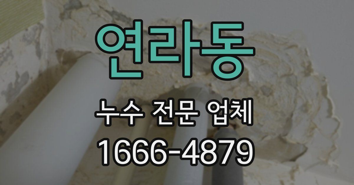 연라동 누수 전문 업체