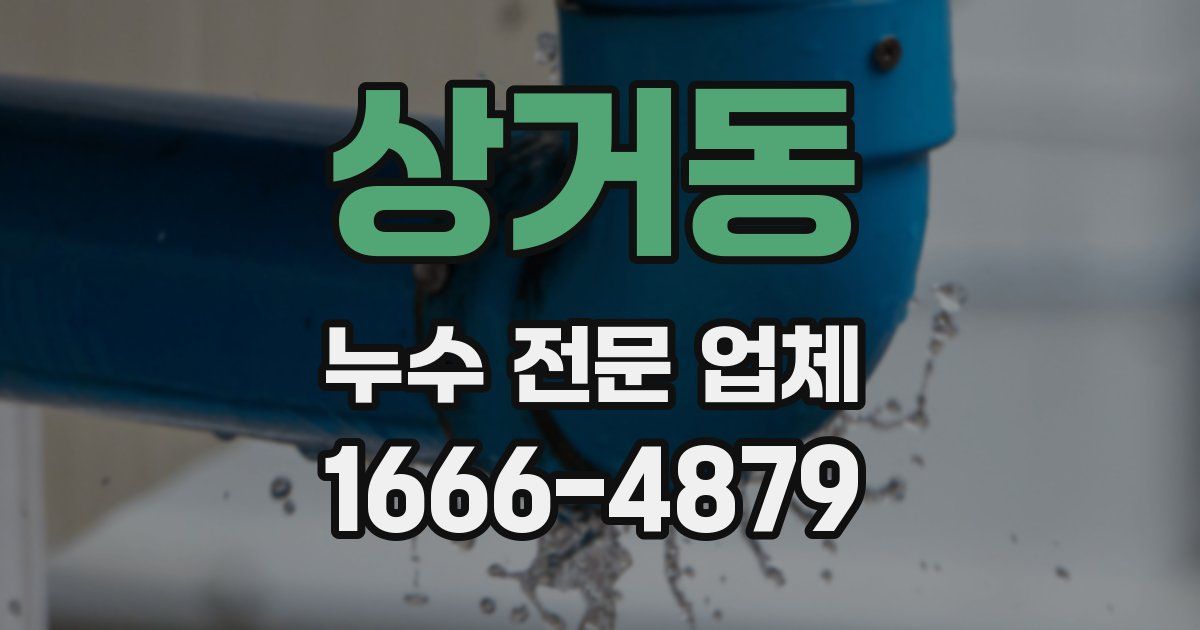 상거동 누수 전문 업체