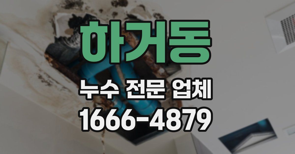 하거동 누수 전문 업체
