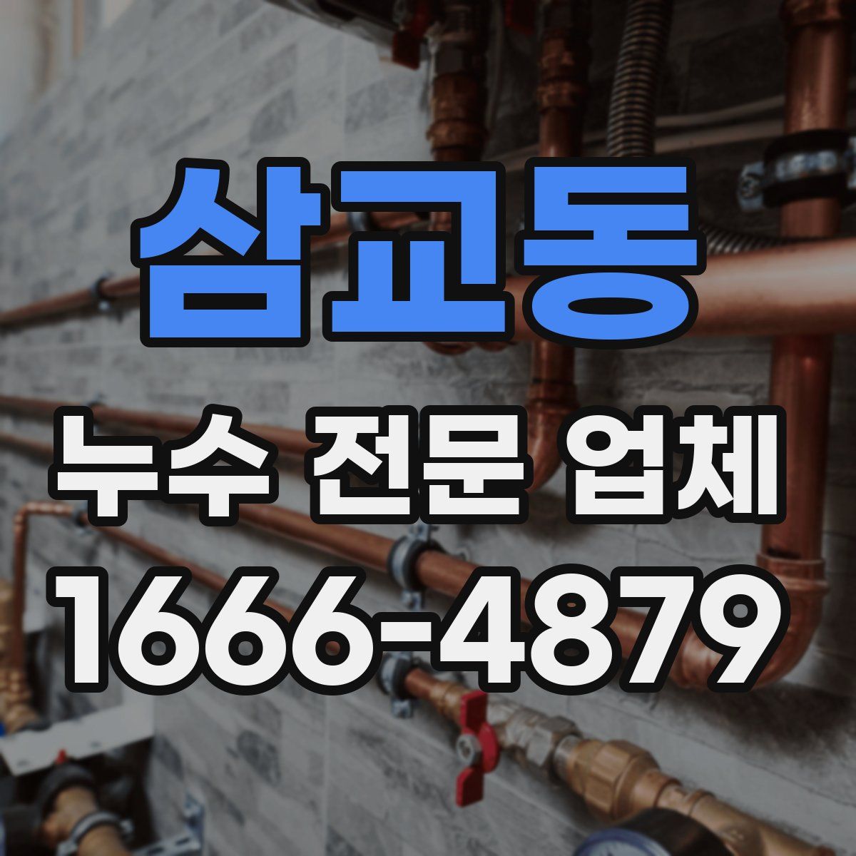 삼교동 누수 전문 업체