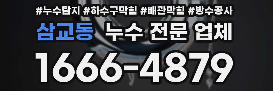 삼교동 누수 전문 업체