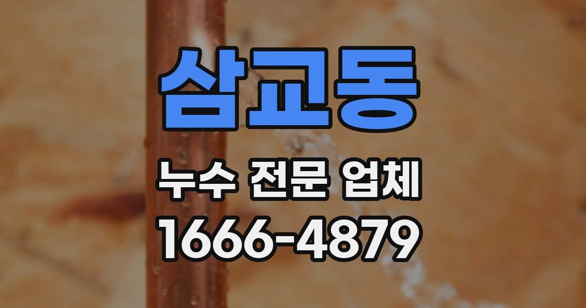 삼교동 누수 전문 업체
