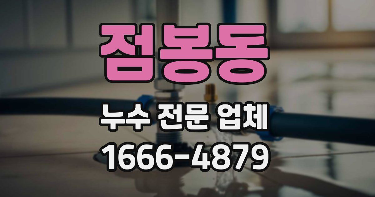 점봉동 누수 전문 업체