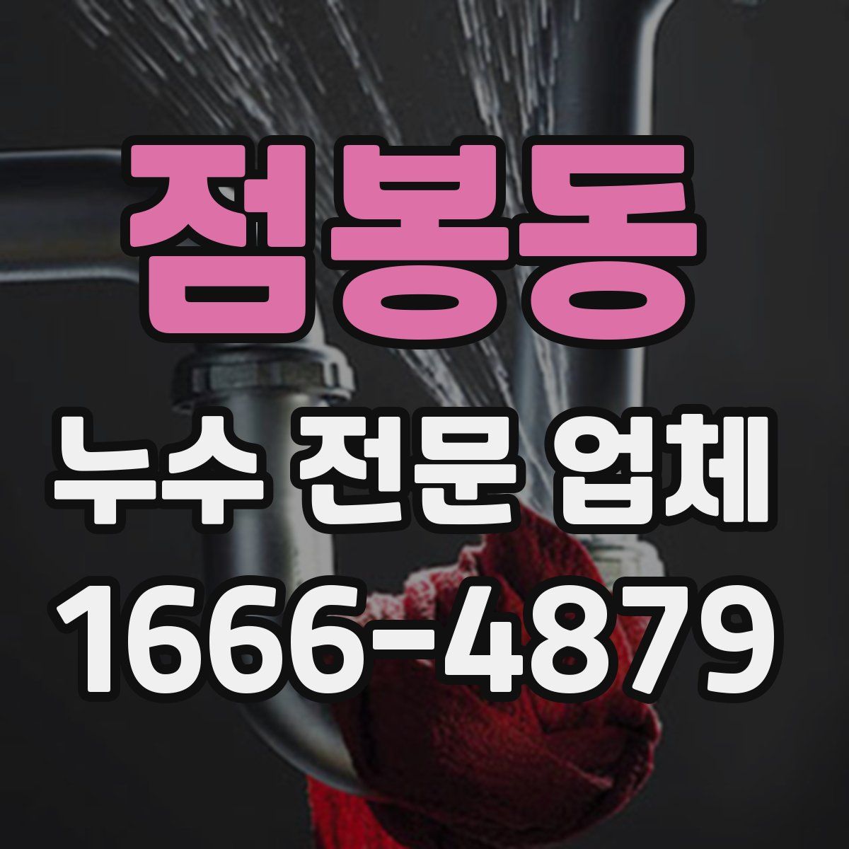 점봉동 누수 전문 업체