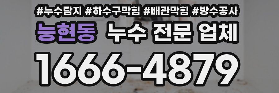 능현동 누수 전문 업체