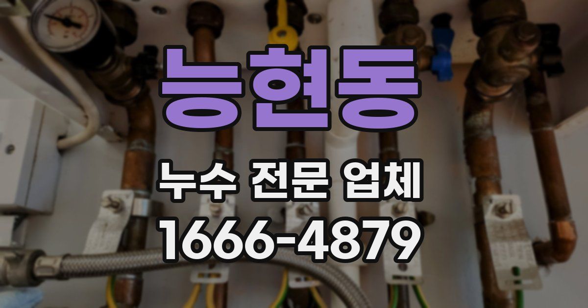 능현동 누수 전문 업체