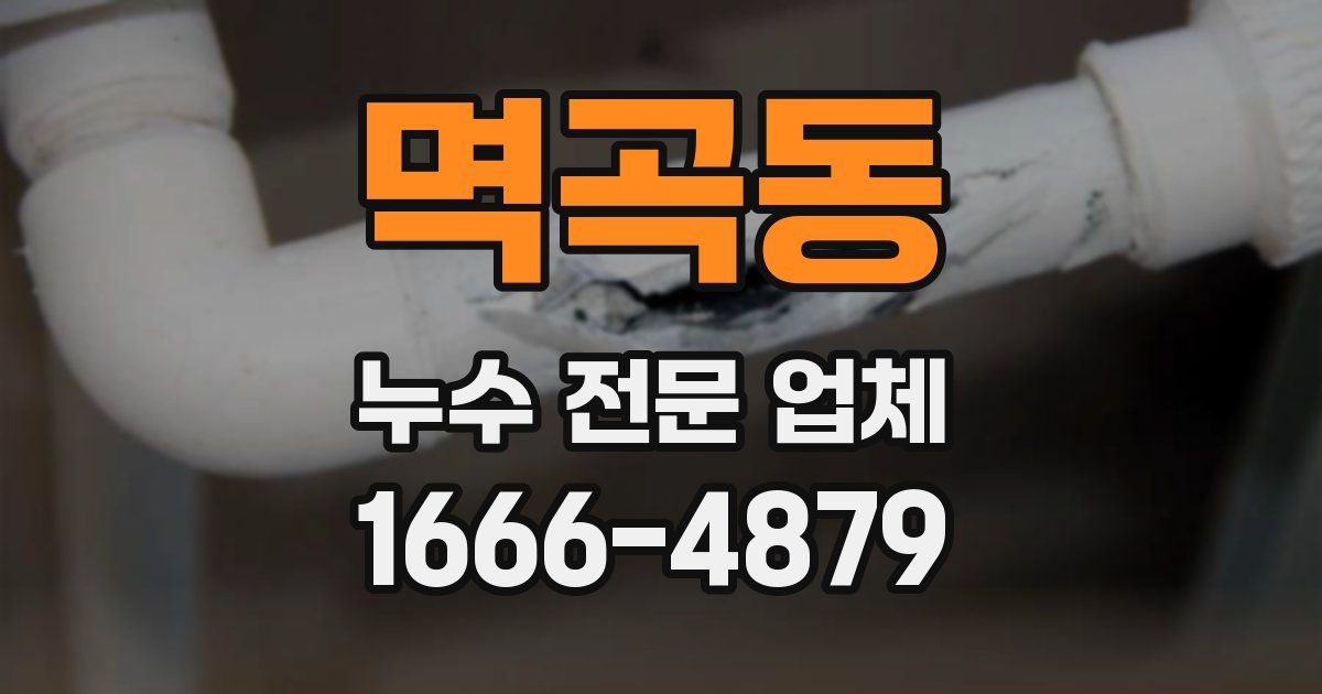 멱곡동 누수 전문 업체