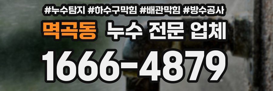 멱곡동 누수 전문 업체