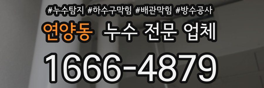 연양동 누수 전문 업체