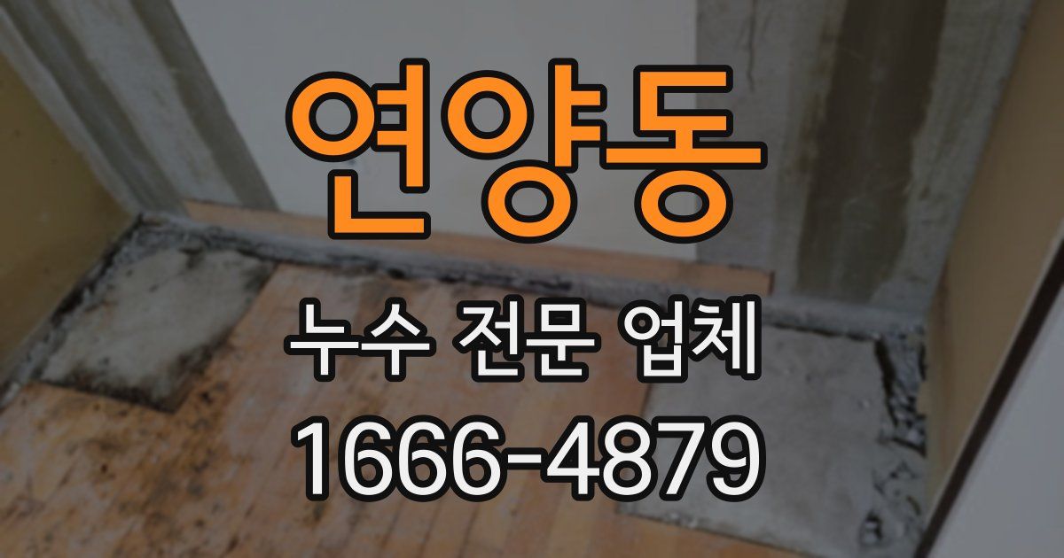 연양동 누수 전문 업체
