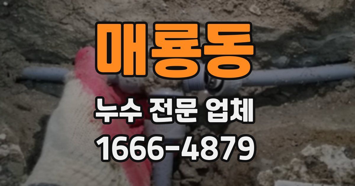 매룡동 누수 전문 업체