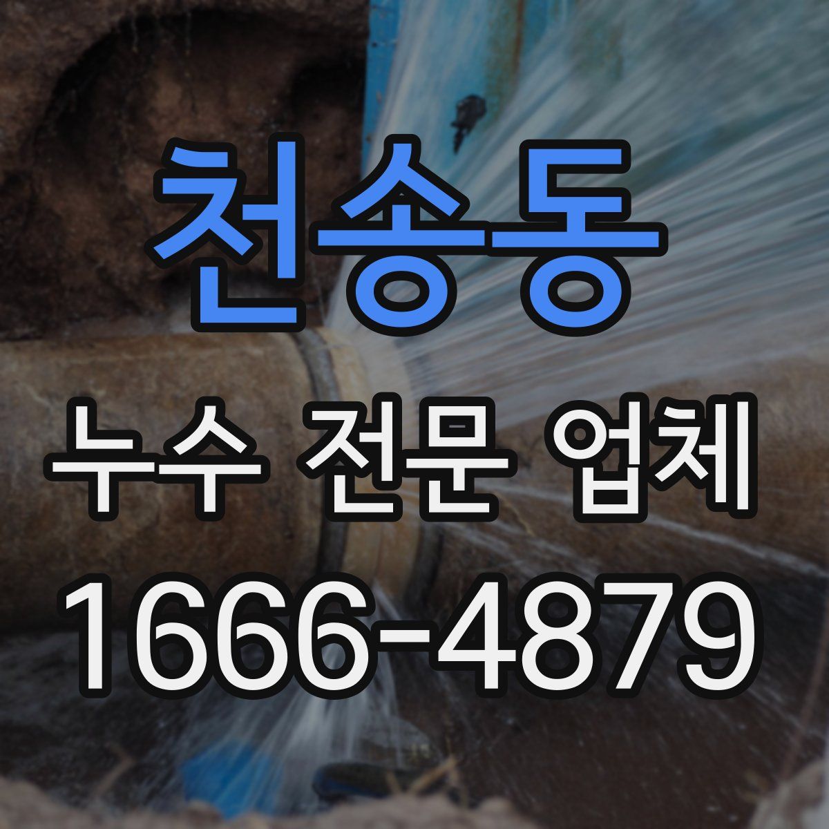 천송동 누수 전문 업체
