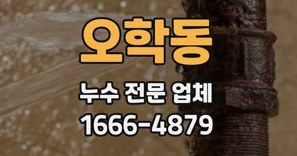오학동 누수 전문 업체