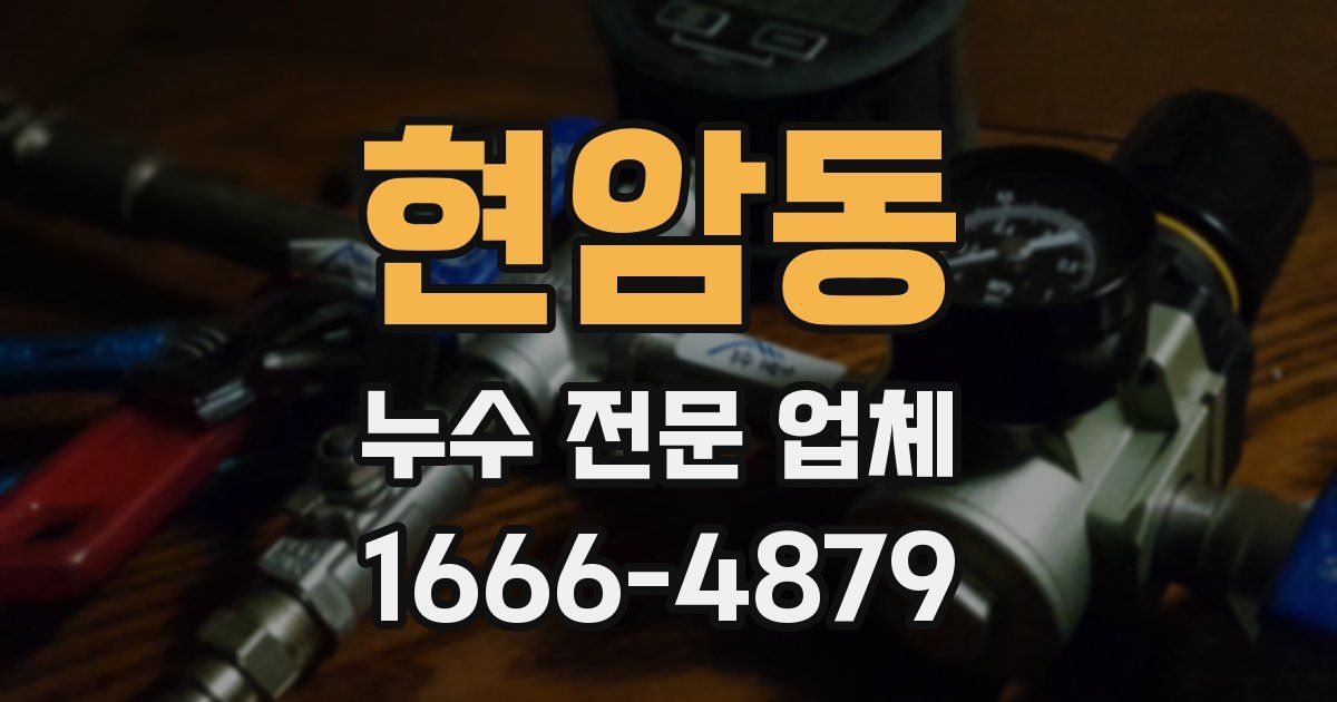 현암동 누수 전문 업체