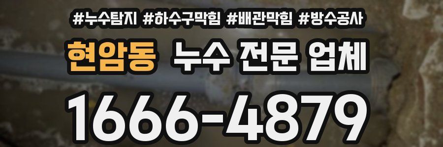 현암동 누수 전문 업체