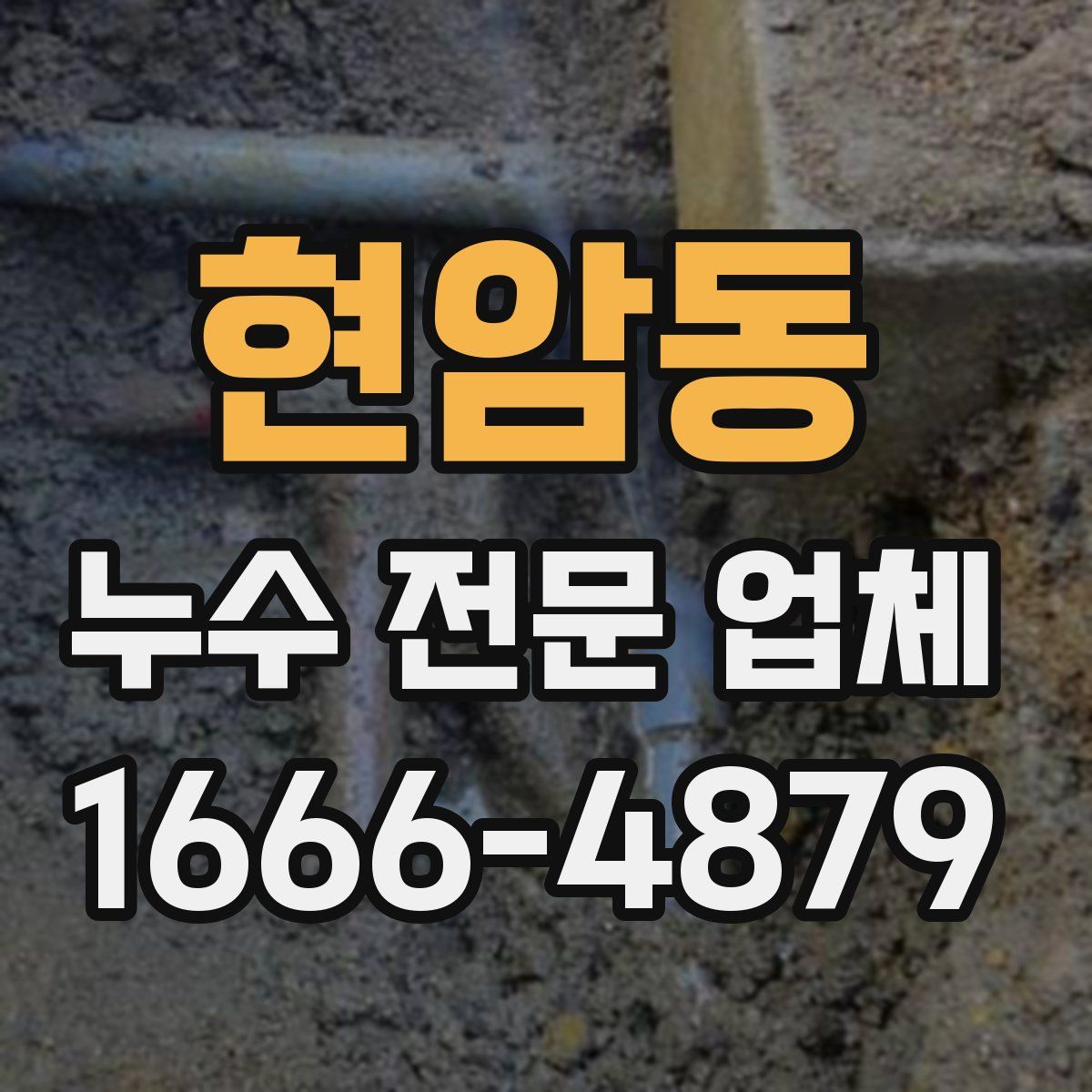 현암동 누수 전문 업체