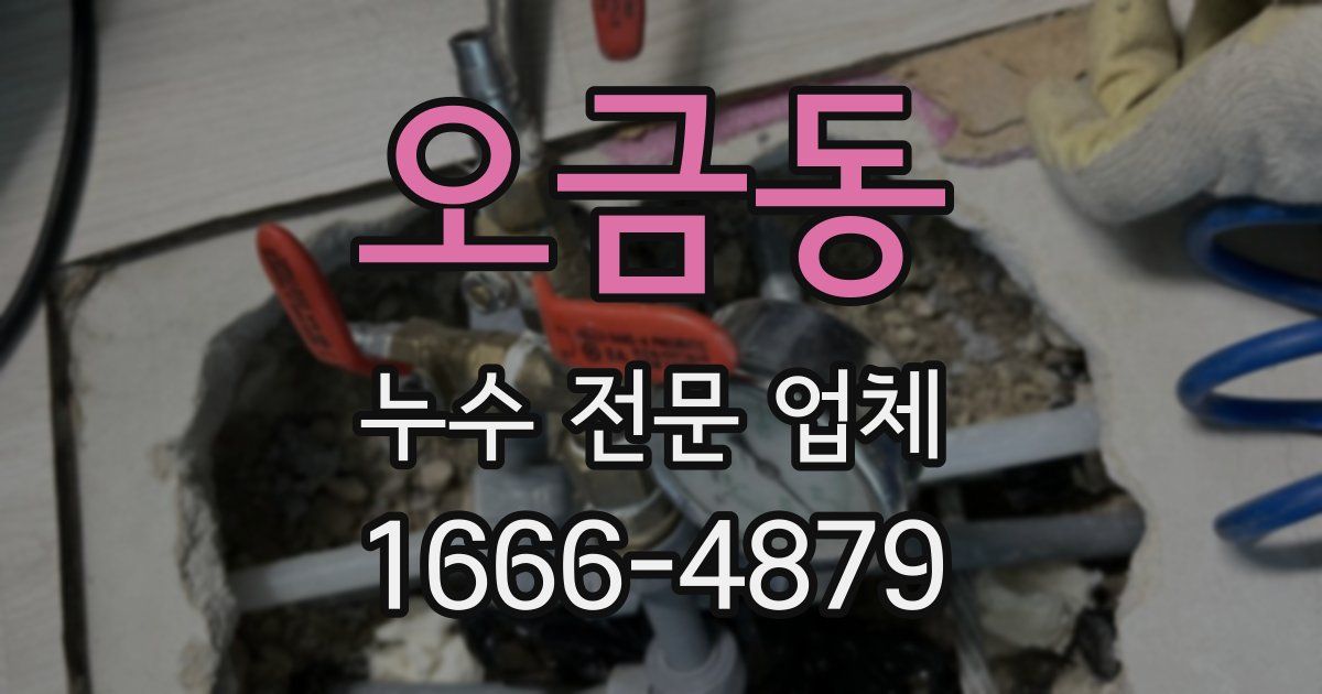 오금동 누수 전문 업체