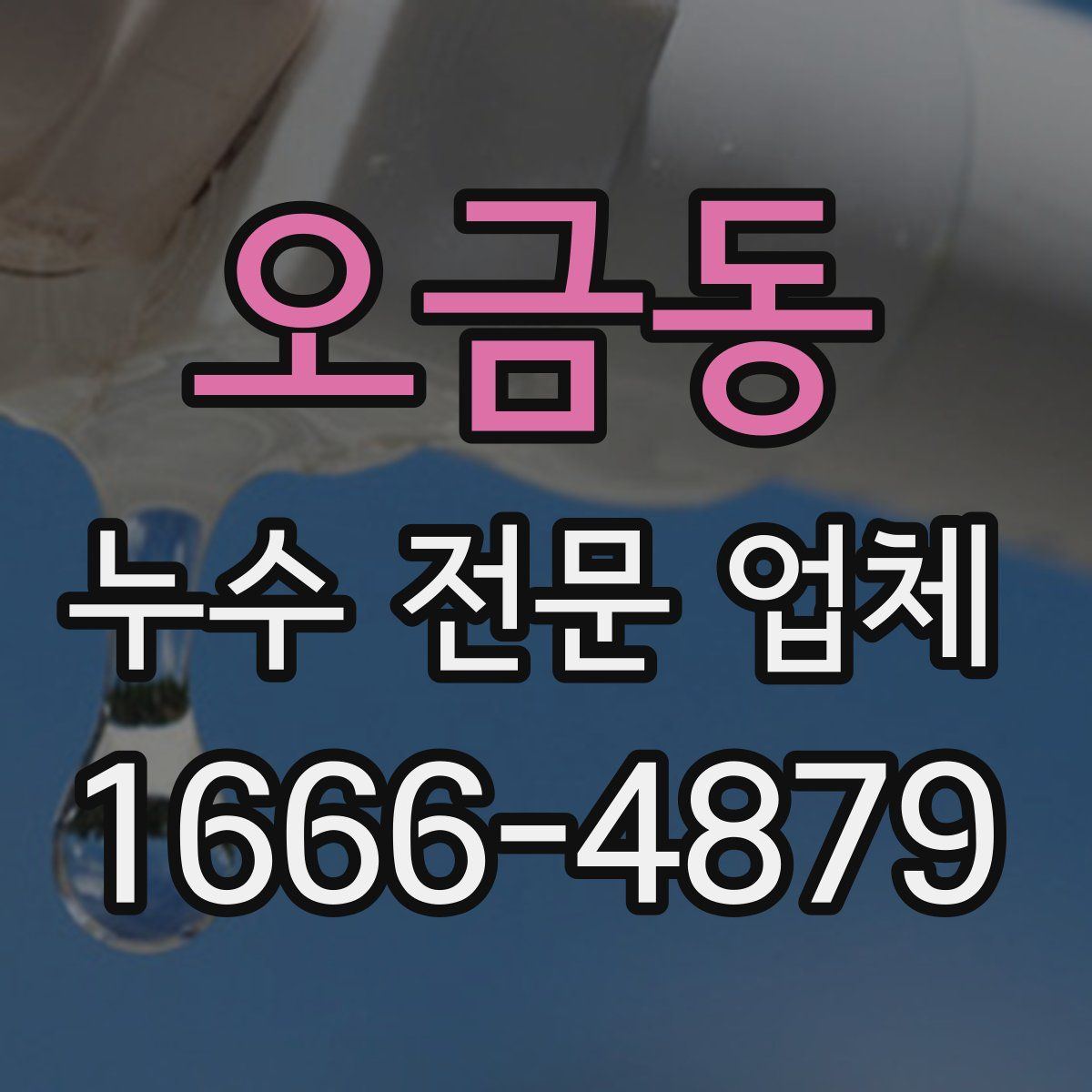 오금동 누수 전문 업체