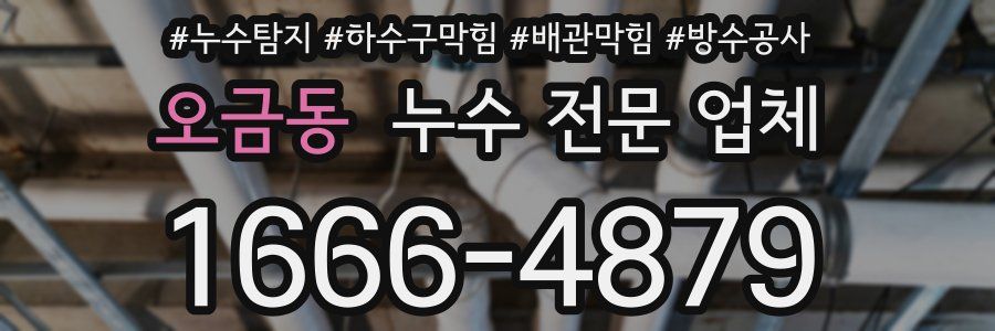 오금동 누수 전문 업체