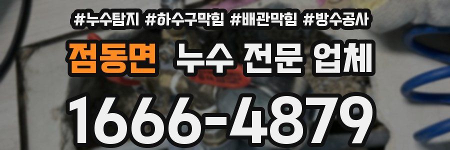 점동면 누수 전문 업체
