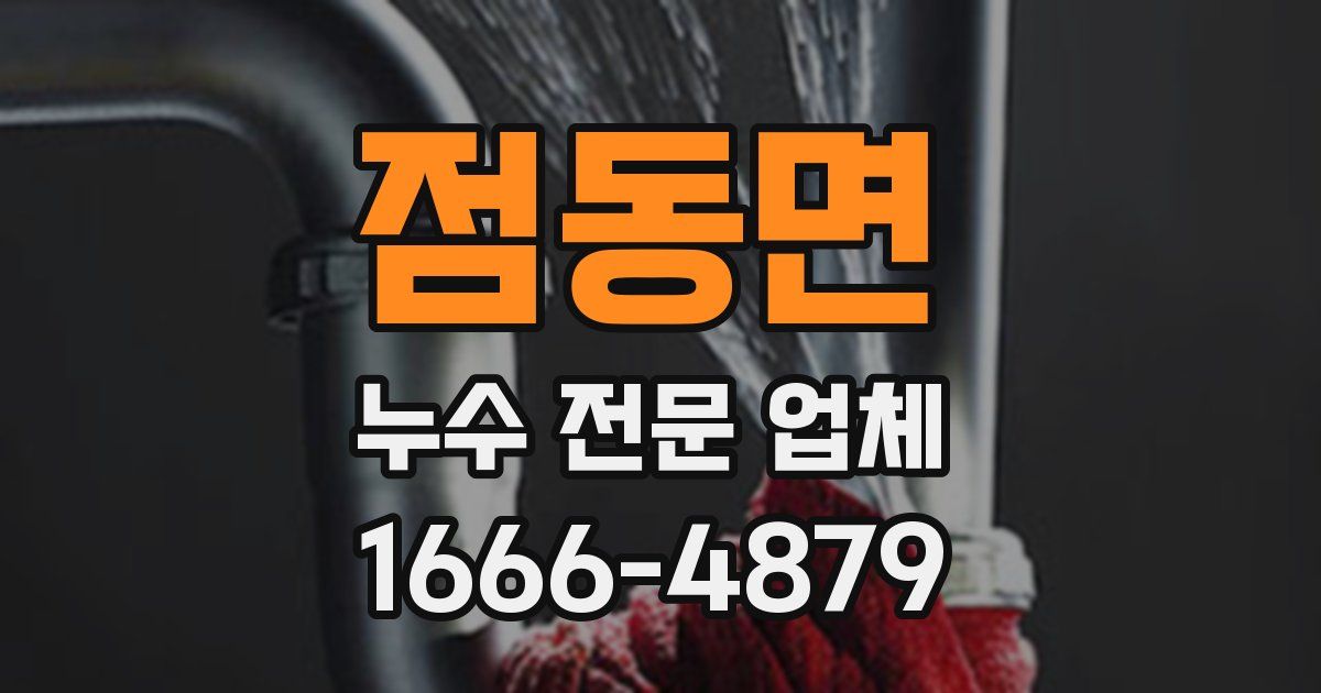 점동면 누수 전문 업체