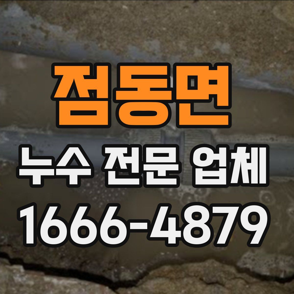 점동면 누수 전문 업체