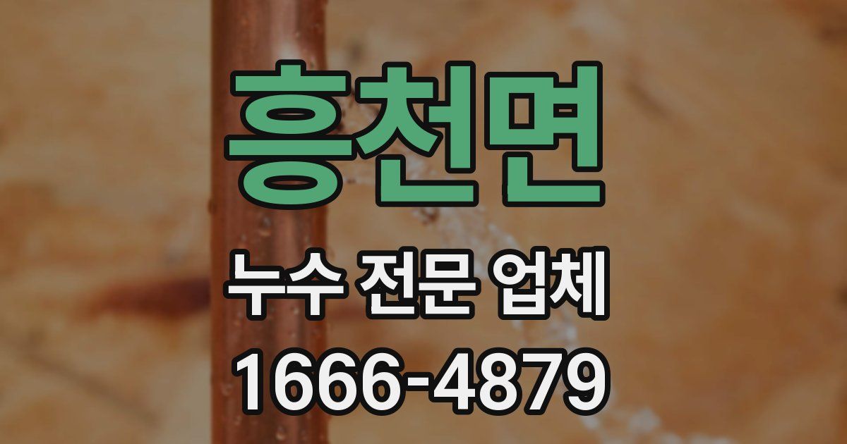 흥천면 누수 전문 업체