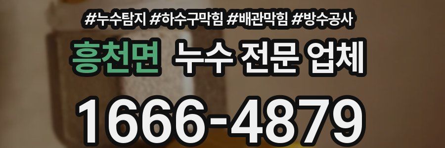 흥천면 누수 전문 업체