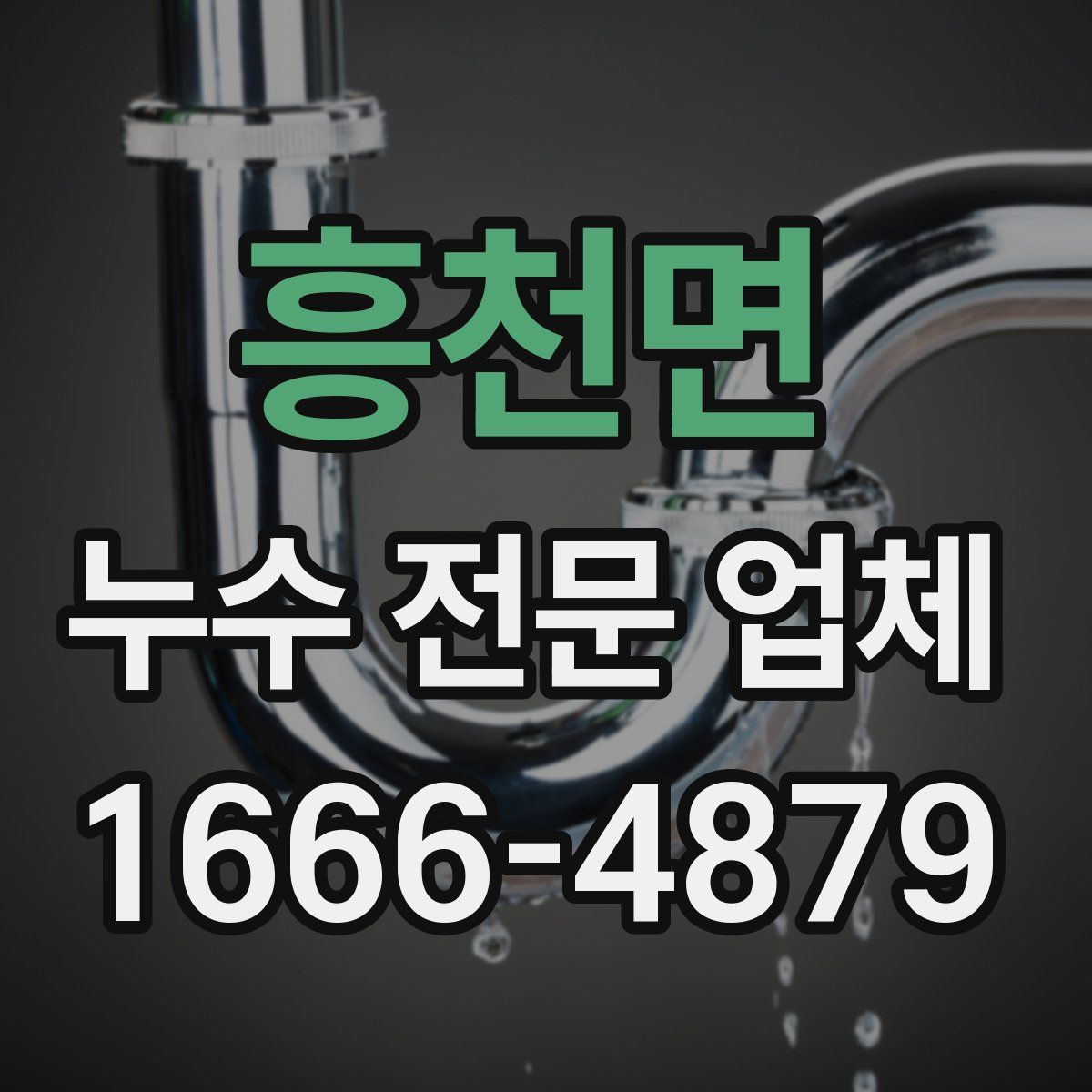 흥천면 누수 전문 업체